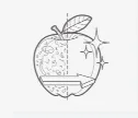 Polisseuses, Abrasives, Éplucheuses Et Nettoyage Des Légumes — illustration de la catégorie d'application UNI-MASZ